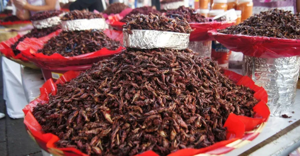 Large quantity of chapulines for sale at a market