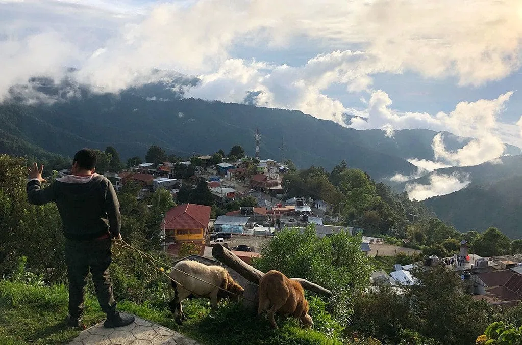 Cabañas en San José del Pacífico: Guía