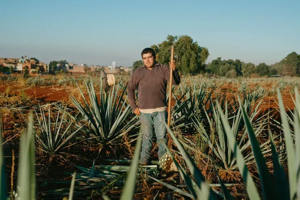 Jardín Etnobotánico de Oaxaca en el templo de Santo Domingo Guzman