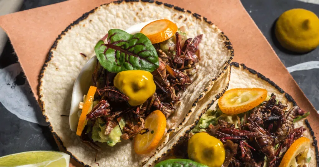 Chapulines taco dish
