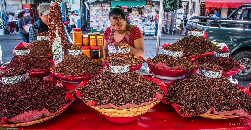 Chapulines: Oaxaca's Exotic Ancestral Food