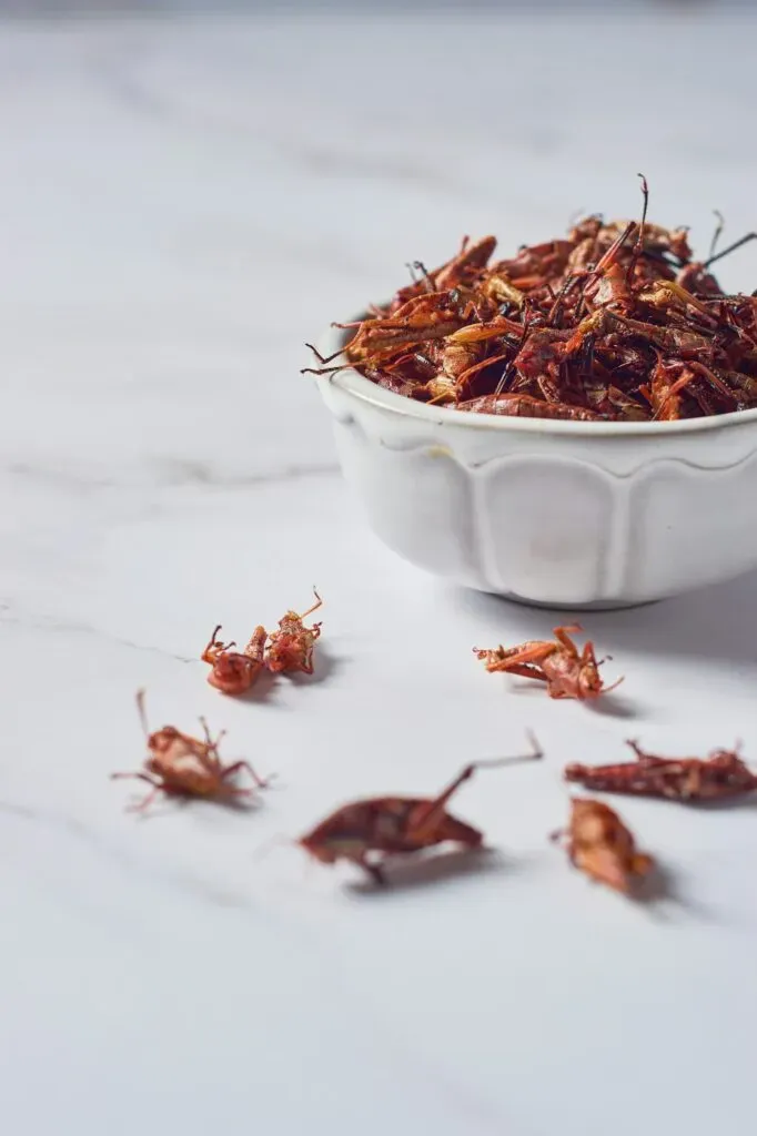 Chapulines secos en un bowl listos para comer en Oaxaca