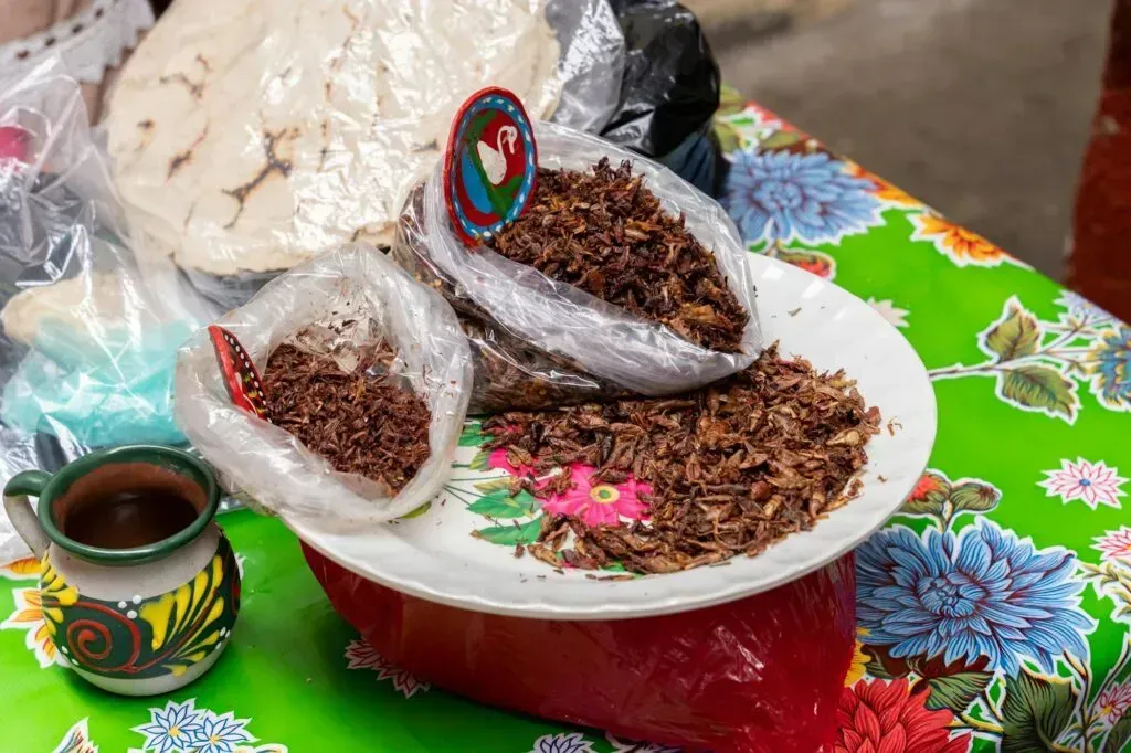 Chapulines fritos y sazonados sobre una mesa colorida oaxaqueña