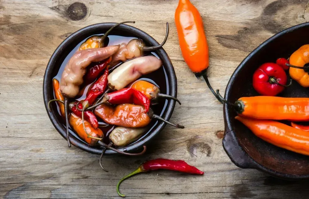 Chiles en escabeche, ingrediente esencial de la cocina oaxaqueña