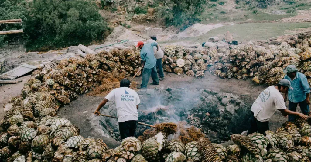 A palenque from Oaxaca