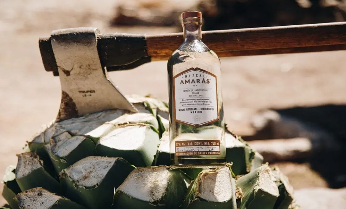 7 Best Mezcal Palenques to Visit in Oaxaca