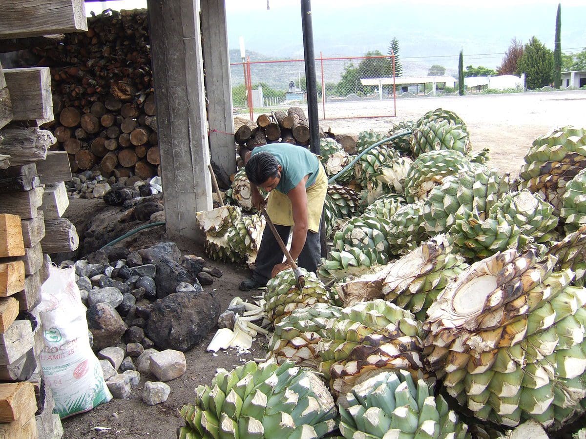 Puerto Escondido y sus playas: 10 lugares que debes visitar