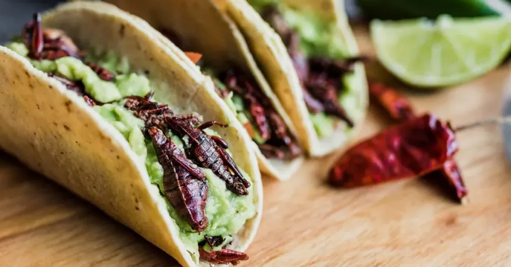 Chapulines taco