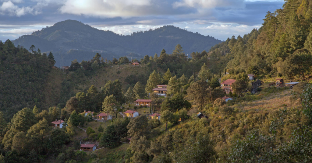 Fauna and Flora in San José del Pacífico