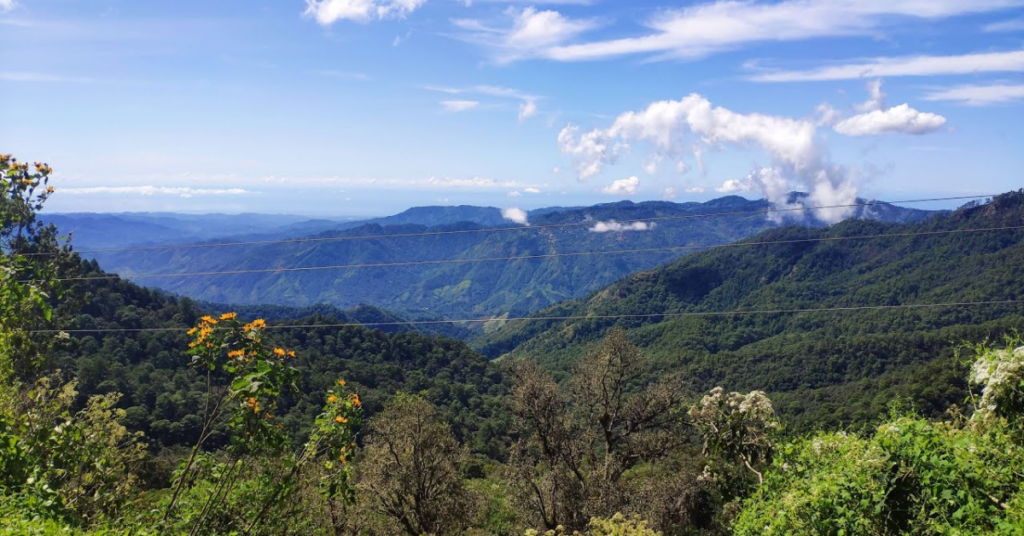 the Sierra Madre del Sur of Oaxaca